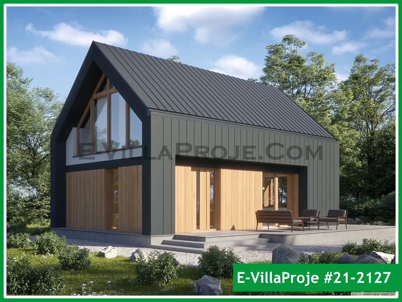 Ev Villa Proje #21 - 2127 Ana Görsel