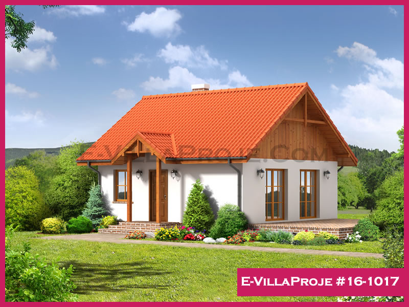 Ev Villa Proje #16 - 1017 Ana Görsel